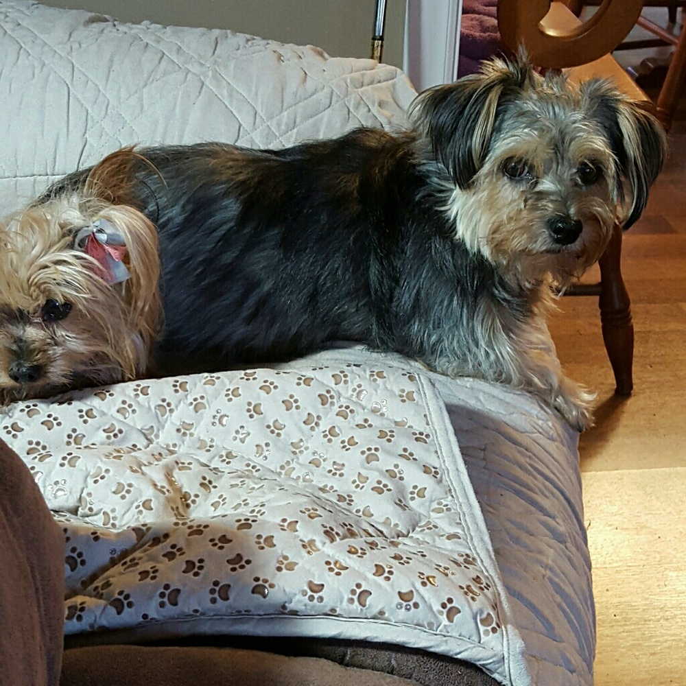 LILLY AND ZOEY WELCOME YOU TO MY CLOSET!
